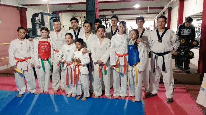 TAEKWONDO GRUPO DRAGO WTF, Author: ELIAS ROMAN GAUTO