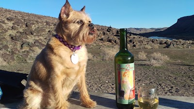 Hells Canyon Winery & Zhoo Zhoo