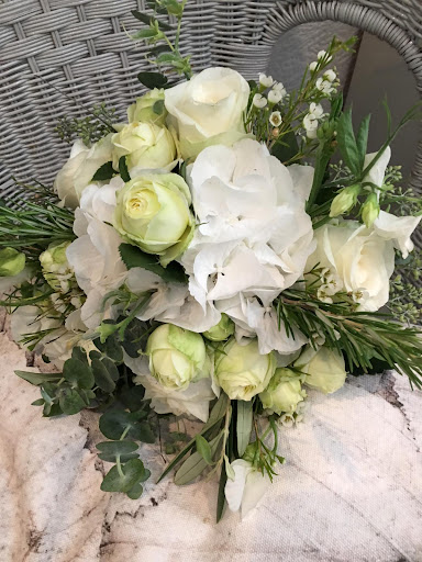 Dornröschen Blumen - Thumbnail