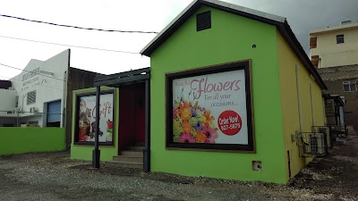Photos of All Wrapped Up Jamaica