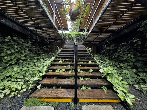 NATURAL LUXURY HOTEL-BIRDING