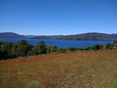 Photos of Reserva Natural El Natri