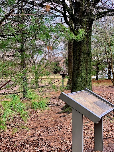 Harriet Tubman Memorial Garden