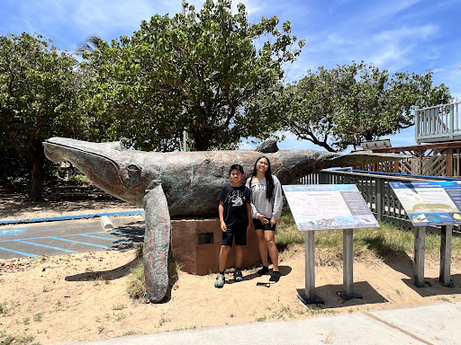 Hawaiian Islands Humpback Whale National Marine Sanctuary Visitor Center - Thumbnail