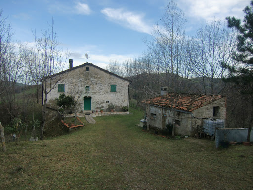 Campogendo - Visual