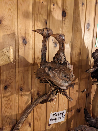 Wurzelmuseum - Visual