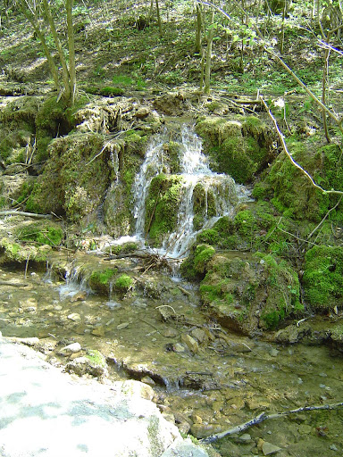 Kalktuffbach - Visual