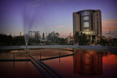 university
