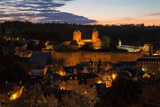 Photo de Château du Bois-Guy à Saint-Georges-de-Reintembault (35420)