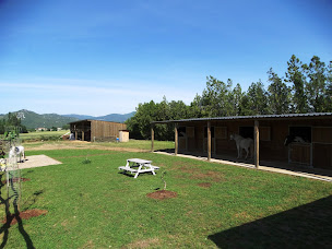 Photo n°10 de Les Ecuries de la Tuilerie à Banne (Centre de randonnée équestre)