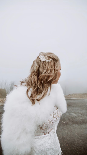 Wild Elements and Co - Visual