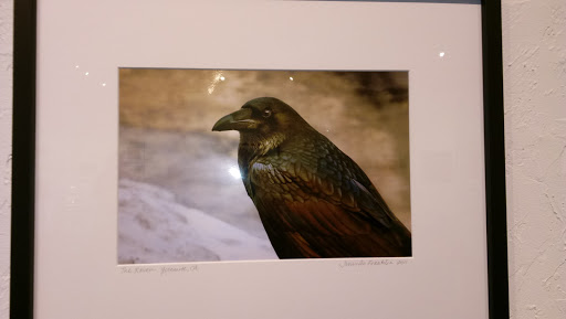 Spectrum Gallery - Thumbnail