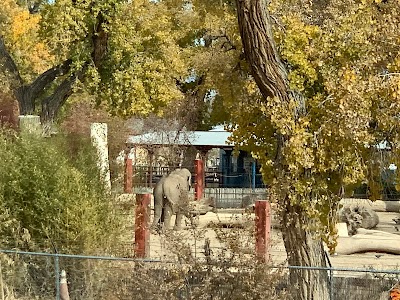 Albuquerque Zoo - Asia