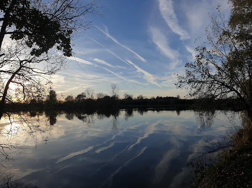 Finsinger Weiher - Visual