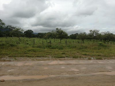 Photos of El Guacharacal