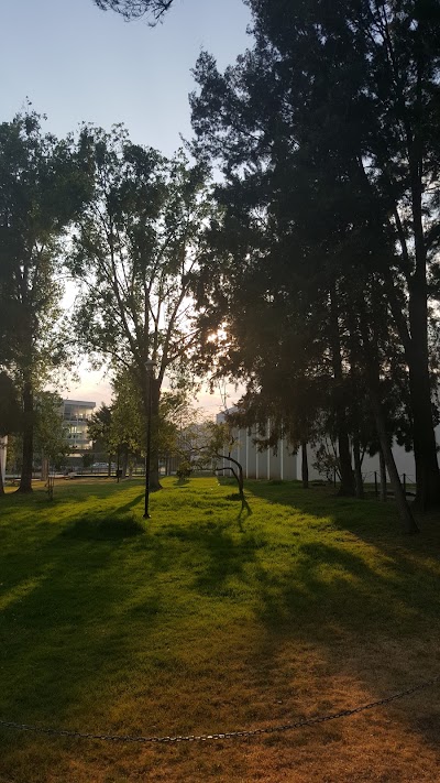 Photos of Ciudad Universitaria