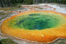 Steamboat Geyser, Yellowstone National Park, United States