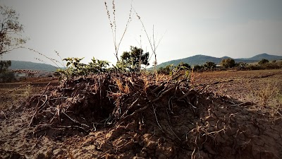 Photos of La Empedrada