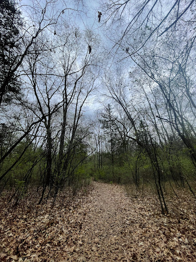 Deerfield Hills Nature Area - Thumbnail