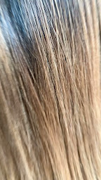 Photo n°6 de Le petit salon de Chloë à Saint-Aubin-lès-Elbeuf (Salon de coiffure)