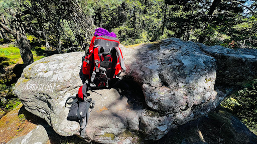 Rocher du Koenigsstuhl - Thumbnail