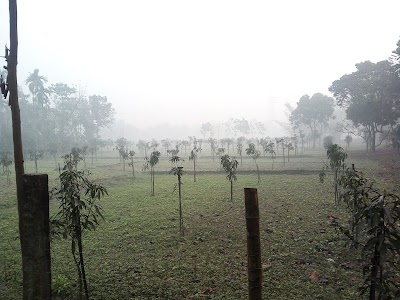 Photos of Talukder Para , Horinarayanpur