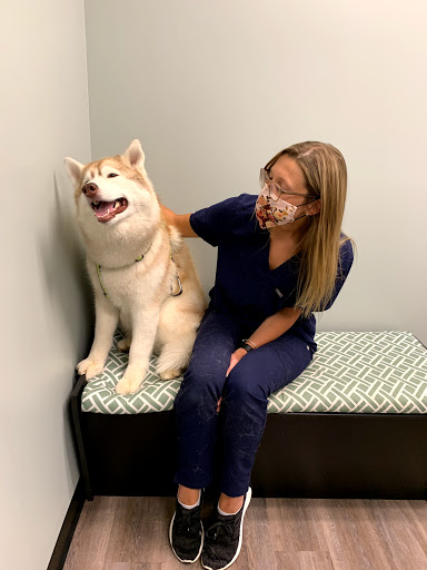 Uxbridge Animal Hospital - Thumbnail