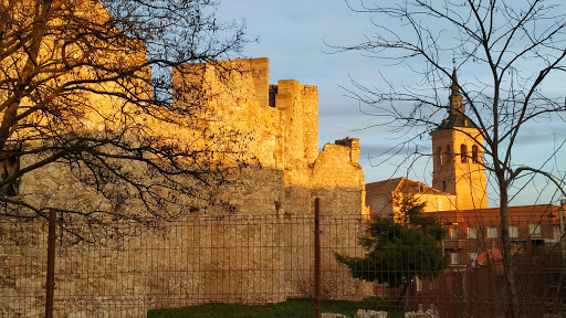 Castle Puñonrostro - Visual