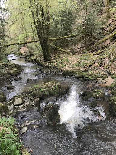Le Gour du Drac - Thumbnail