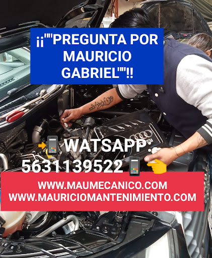 TALLER MECANICO ESPECIALIZADO * MAURICIO*
