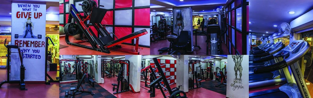 Figure Factory Gym