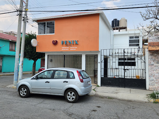 Fenix Dental - Thumbnail