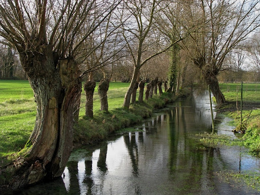GR 800 Sentier de la Somme. De Fonsomme (Aisne) à St-Valery-sur-Somme (Somme) - Thumbnail