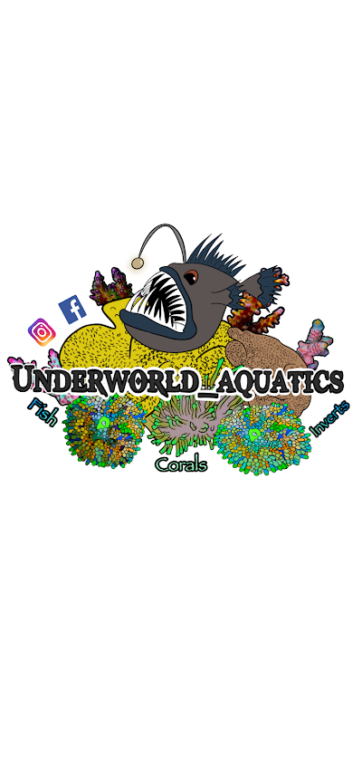 Underworld Aquatics