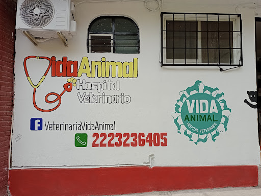 HOSPITAL VETERINARIO CALIDAD DIAGNOSTICA