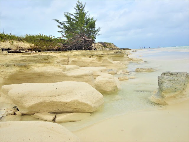 Cayo Coco