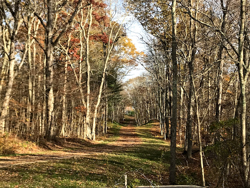 Hillside Environmental Education Park - Thumbnail