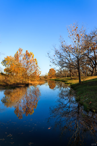 Katy Park - Visual