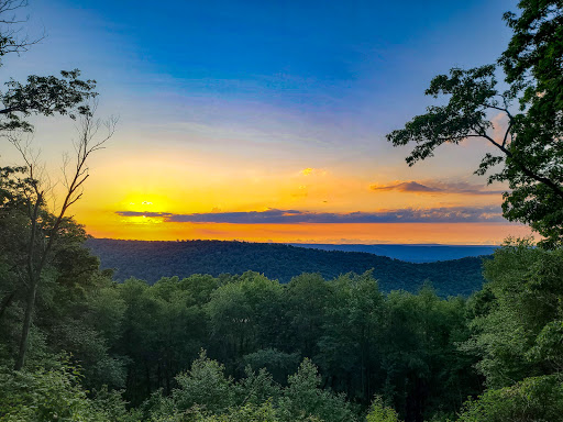 Tuscarora State Forest - Thumbnail