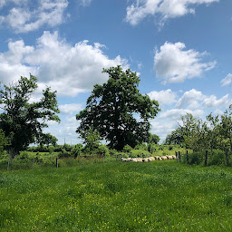 Photo n°6 de La Ferme du Beau à Chaillac (Magasin de laine)
