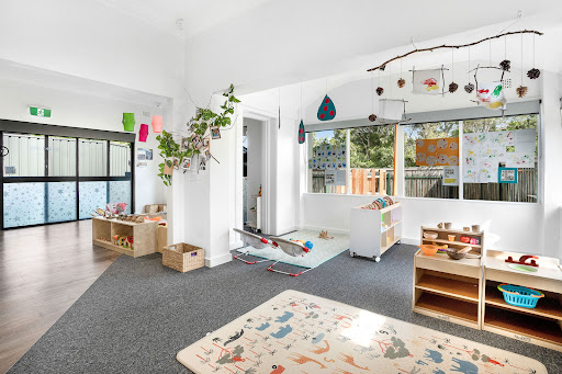 Little Zak's Academy Lane Cove - Thumbnail