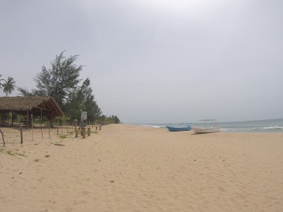 Photos of The Coastal Hotel