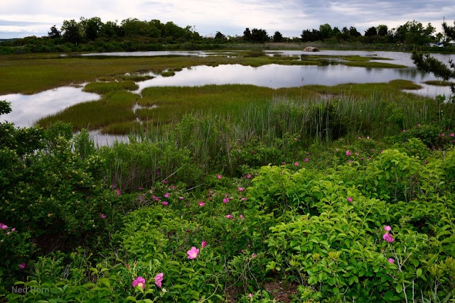 Hammonasset Beach State Park