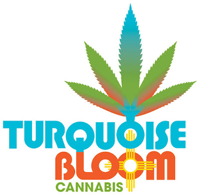 Photo of Turquoise bloom cannabis