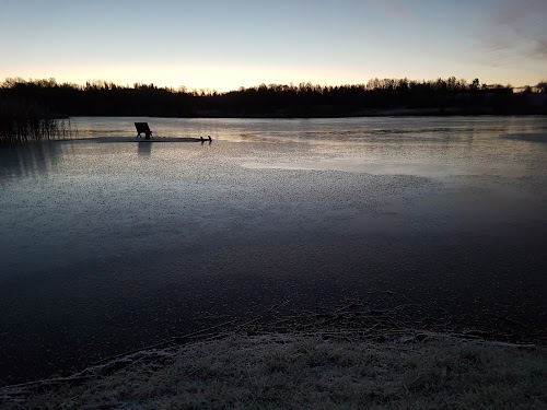 Viesu nams Pie Ābelītes