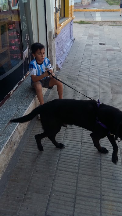 Photos of Veterinaria Quir&oacute;s