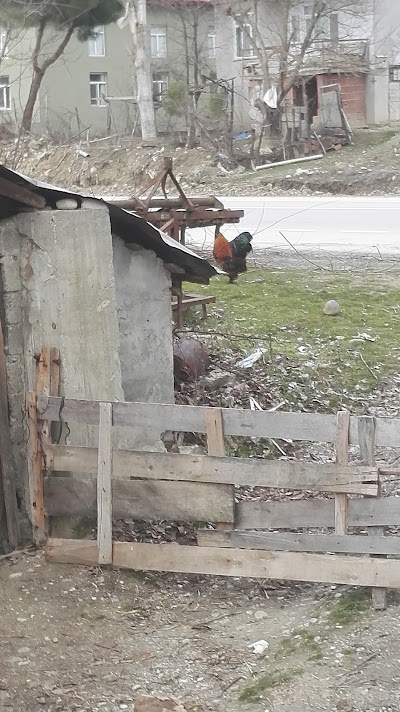 Yukarısakız Mahallesi Cami