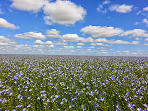 Photo n°14 de jadorelecochon.com à Grigneuseville (Magasin)