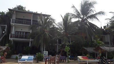 Photos of Banana Garden