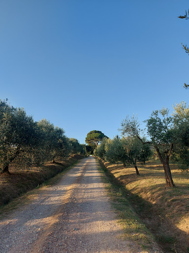 Agriturismo La Tana - Thumbnail